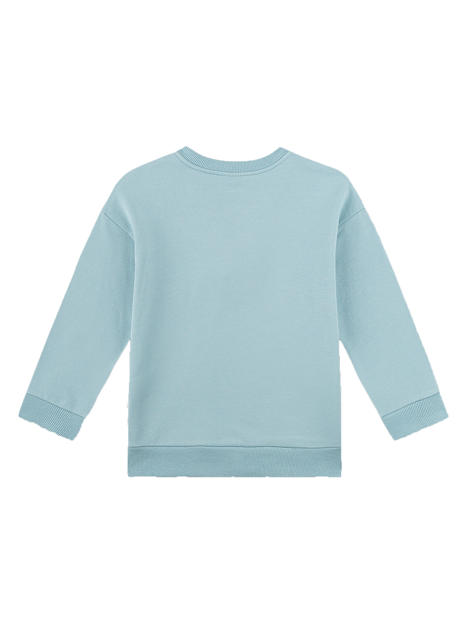 Sanetta Future Sweatshirt Long Sleeve